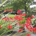 Bed and breakfast Twin Oaks 3*