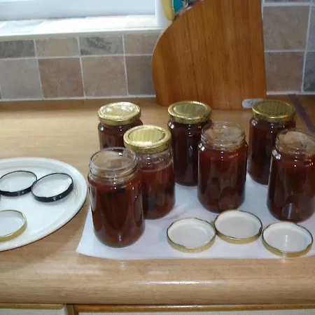 Twin Oaks Bed and Breakfast