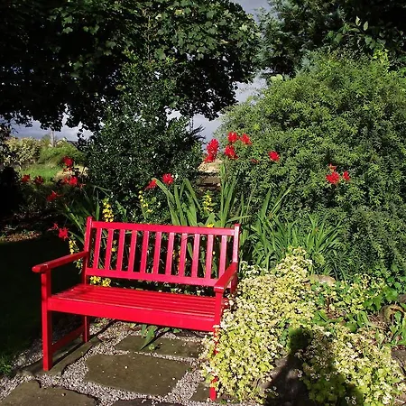 Twin Oaks Panzió Kilkenny