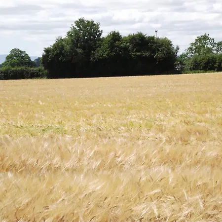 Twin Oaks Kilkenny