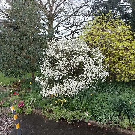 Twin Oaks לינה וארוחת בוקר