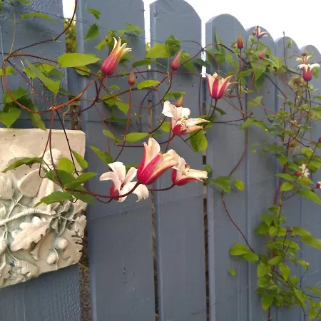 Twin Oaks Bed and Breakfast 3*