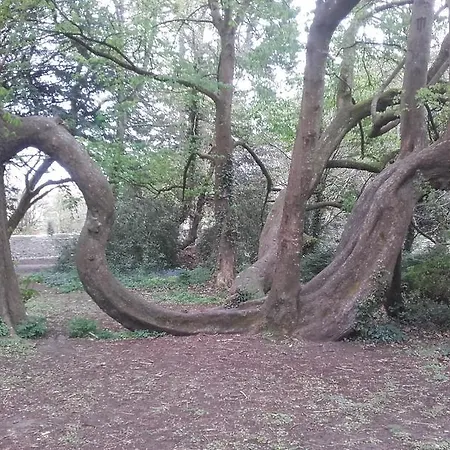 Frühstückspension Twin Oaks