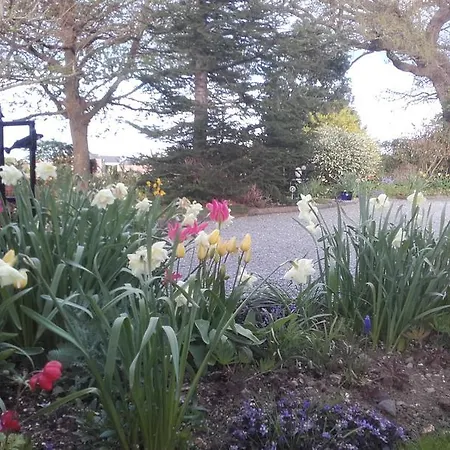 Twin Oaks Kilkenny