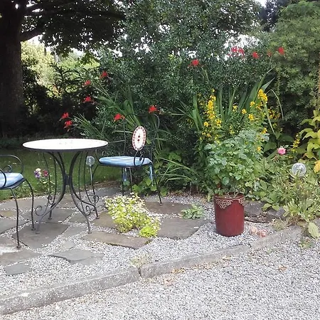 Twin Oaks كيلكيني