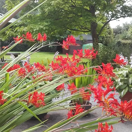 Panzió Twin Oaks 3*