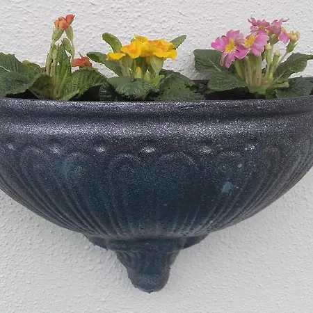 Panzió Twin Oaks 3*