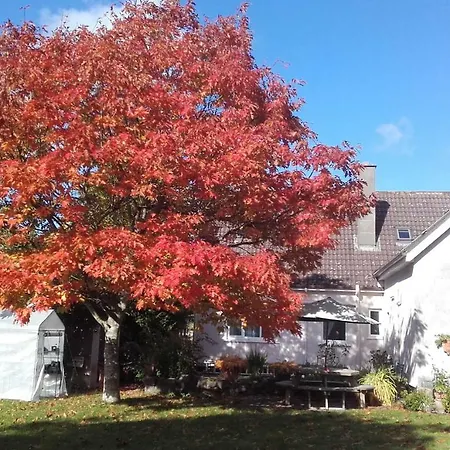 Twin Oaks Kilkenny