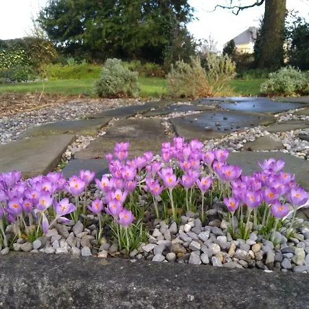 فندق مبيت وإفطار Twin Oaks