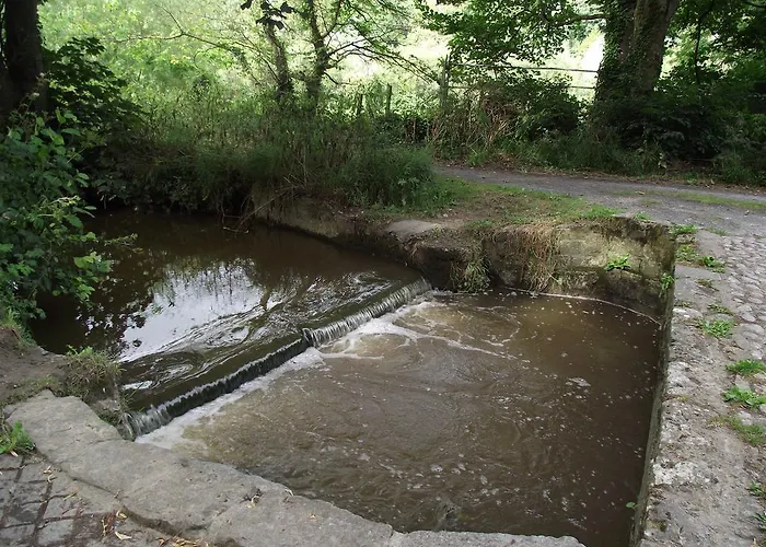 B&B Twin Oaks 킬케니