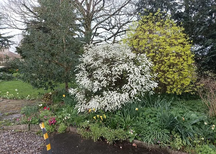 Twin Oaks לינה וארוחת בוקר