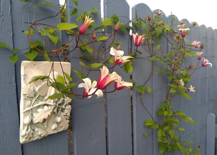 Twin Oaks לינה וארוחת בוקר 3*