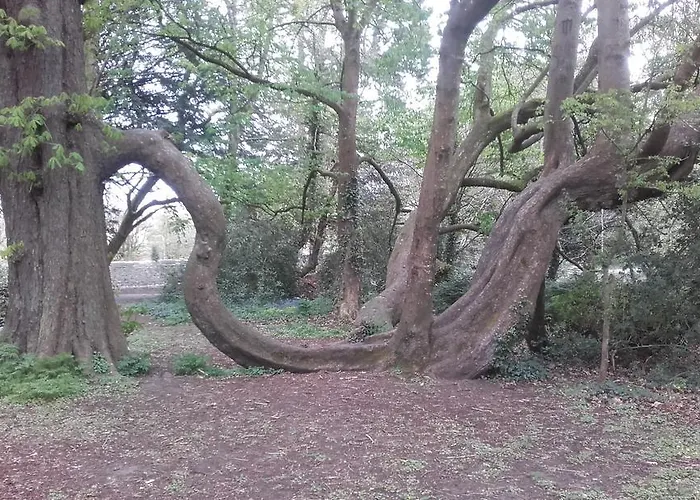 לינה וארוחת בוקר Twin Oaks