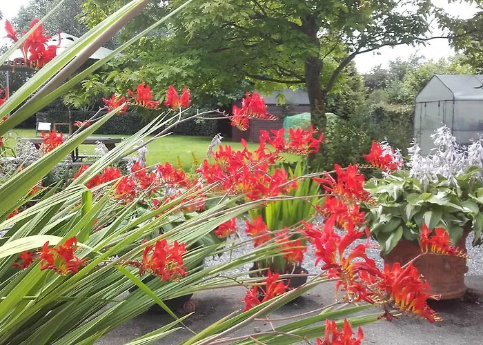 Bed and breakfast Twin Oaks 3*