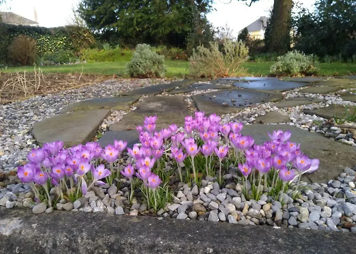 לינה וארוחת בוקר Twin Oaks