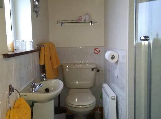 לינה וארוחת בוקר Twin Oaks קילקני